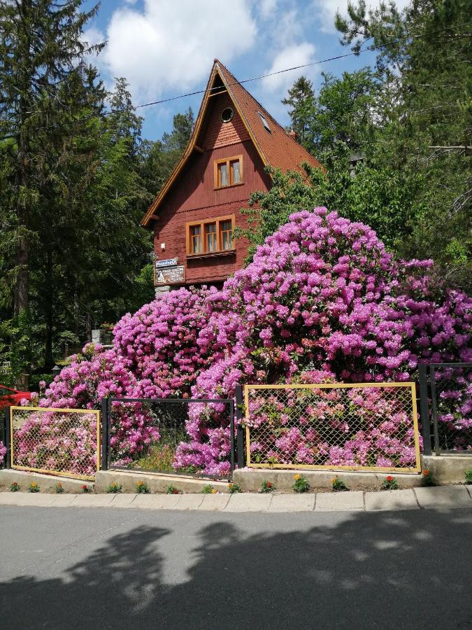 Willa W Dolinie Hotel Szklarska Poręba Exterior foto